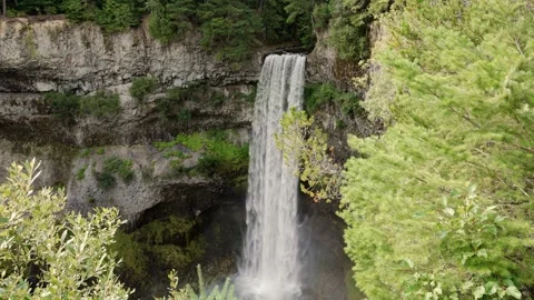 Waterfall in a lush green forest Stock Footage 282831015