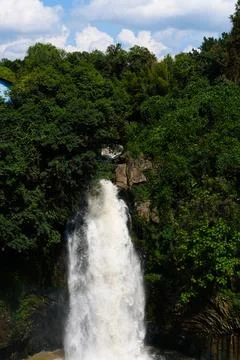 Waterfall in lush green forest Stock Photos