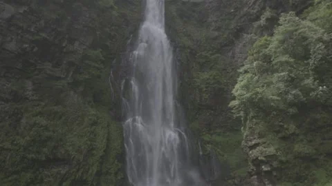 Waterfall in Lush Green Forest Setting Stock-Footage 343561962