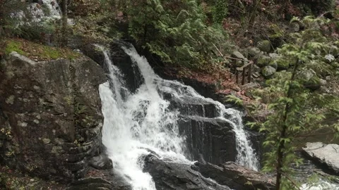 Waterfall in Lush Mountain Forest Stock Footage 250563556