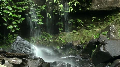 A waterfall in a lush rainforest Stock Footage 41854105