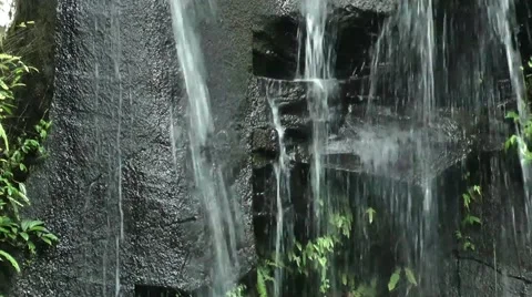 A waterfall in a lush rainforest Stock Footage 41854116