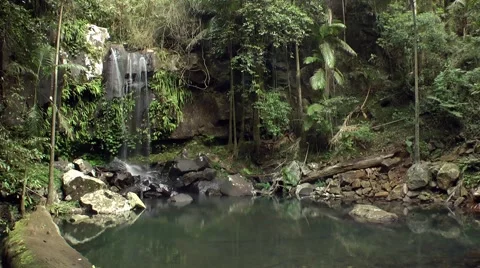 A waterfall in a lush rainforest Vídeo Stock 41854120