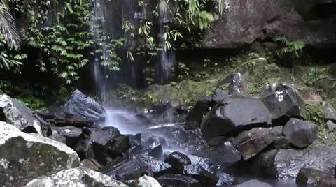 A waterfall in a lush rainforest Stock Footage 41854161