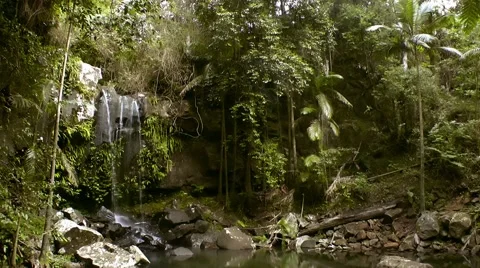 A waterfall in a lush rainforest Stock Footage 41854184