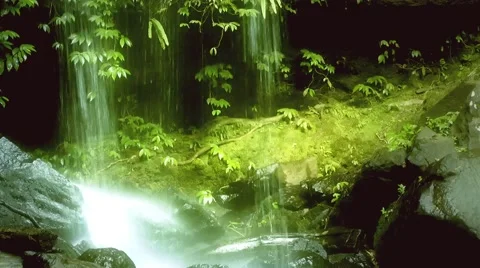 A waterfall in a lush rainforest Видео 41854198