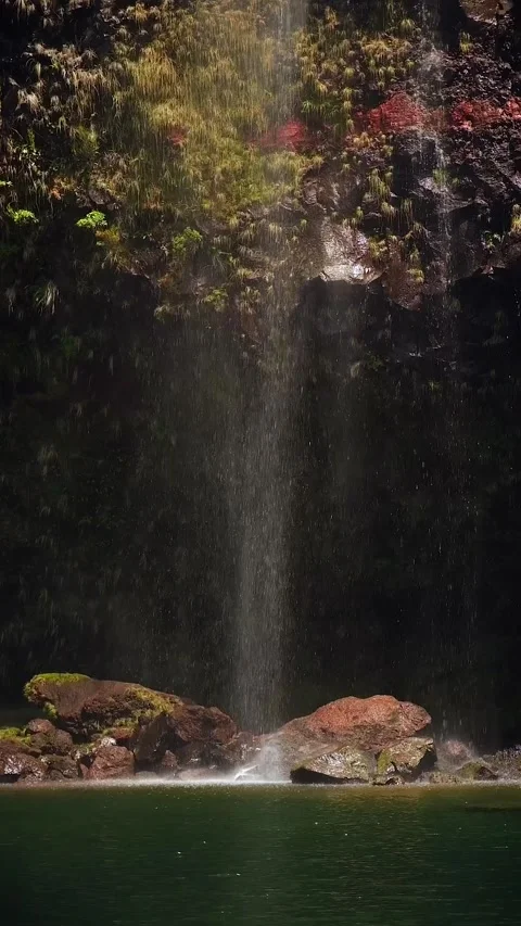 Waterfall in the Madeira forest Video stock 272789009