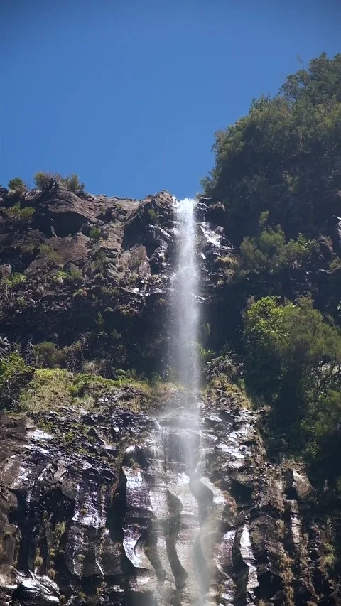 Waterfall in the Madeira forest Video stock 272789054
