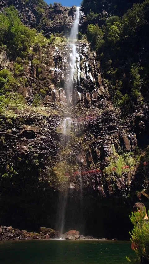 Waterfall in the Madeira forest Video stock 272789138