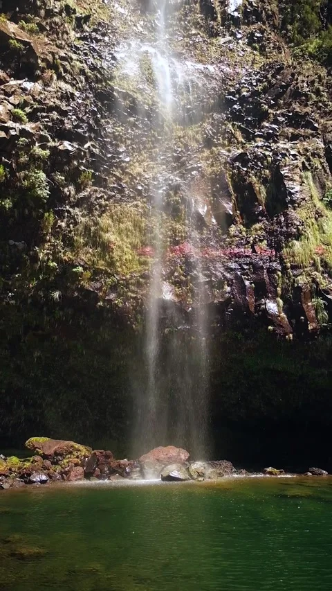 Waterfall in the Madeira forest Video stock 272789880