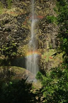 Waterfall in the Madeira forest Stock Photos