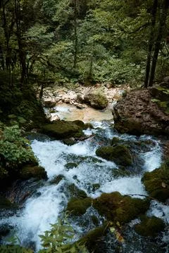 A waterfall makes its way through stones in forest, green trees and rocks, clear Stock Photos