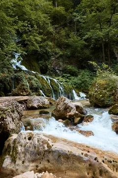 A waterfall makes its way through stones in forest, green trees and rocks, clear Stock Photos
