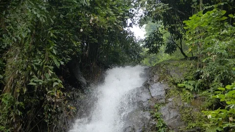 Waterfall in Malaysia Stock Footage 85563172