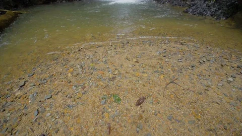 Waterfall in Malaysia Stock Footage 85563227