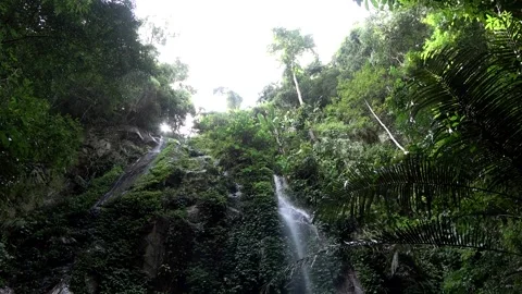 Waterfall, Malaysia Видео 130926342