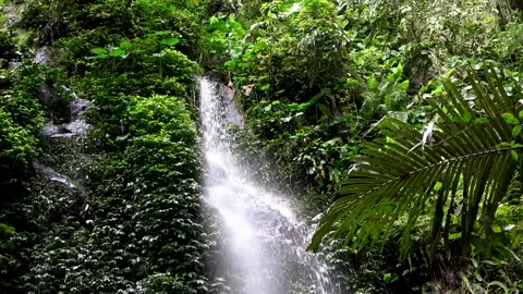 Waterfall, Malaysia Stock Footage 130926349