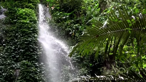 Waterfall, Malaysia Stockbeeldmateriaal 130926352