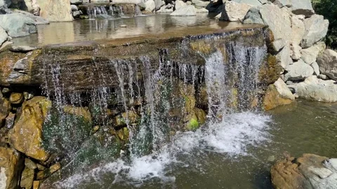 Waterfall with maple trees and bridge in Japanese green Garden in Krasnodar Stock Footage 252435612