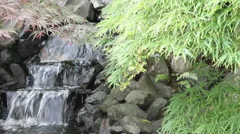 Waterfall with Maple Trees and Ferns in Garden Stock Footage 11865993