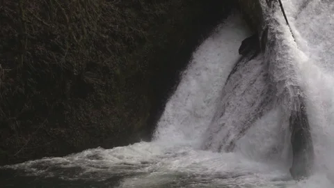 Waterfall meets tree Stock Footage 87946289