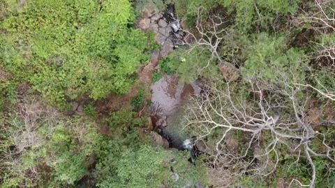 Waterfall In Mexico Stock Footage 224417244