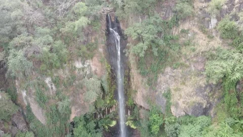 Waterfall In Mexico Stock Footage 224417260