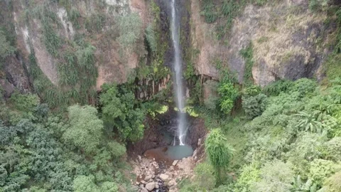 Waterfall In Mexico Stock Footage 224417348