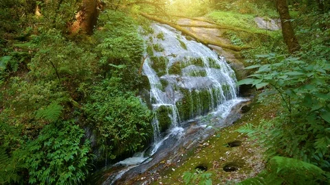 Waterfall in the middle of the deep forest at Kio Mae Pan, Doi Inthanon, Stock Footage 124013717