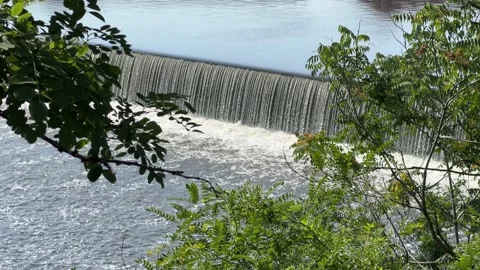Waterfall in the middle of flowering trees. 4K Stock Footage 207423587