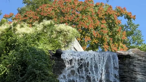 Waterfall in the middle of flowering trees. Stock Footage 204789064