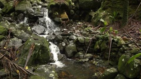 Waterfall in the middle of the forest 스톡 동영상 119647256
