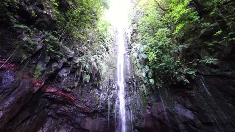 Waterfall in the middle of the forest 스톡 동영상 161529108