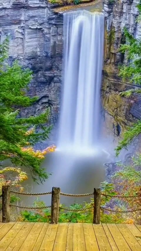 Waterfall in the middle of the forest Stock Footage 203813445