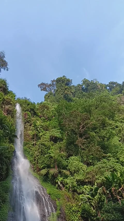 Waterfall in the middle of the forest Stock Footage 239984048