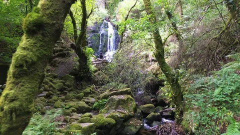 Waterfall in the middle of the forest or woods and girl relaxing in nature Vídeos de archivo 285767247