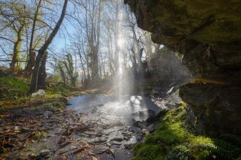 Waterfall in the middle of a forest Stock Photos