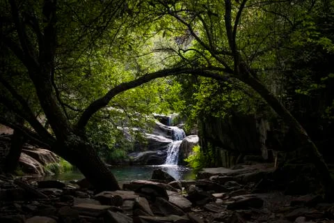 Waterfall in the middle of a forest Stockfoto's
