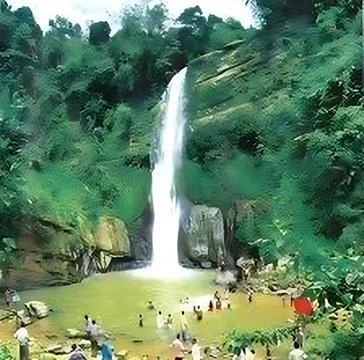 A waterfall in the middle of a forest. Stock Photos