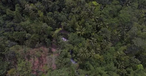 Waterfall in the middle of jungle Stock Footage 71819063