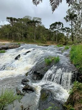 Waterfall in the middle of native forest Stock Photos
