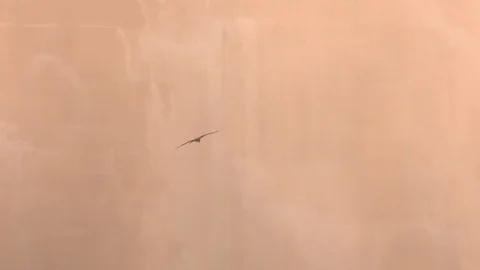 Waterfall mist at sunrise / sunset Video stock 84713596