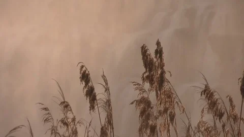 Waterfall mist at sunrise / sunset Video stock 84714981
