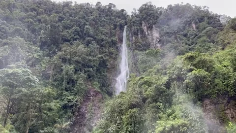 Waterfall with mist in a tropical rainforest Vídeo Stock 245581086