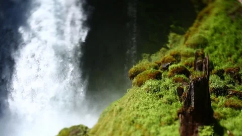 WATERFALL WITH MOSSY ROCKS AND TREE STUMP MAGICAL DREAM 1 Stock Footage 80694756