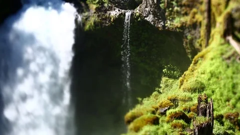 WATERFALL WITH MOSSY ROCKS AND TREE STUMP MAGICAL DREAM 2 Stock Footage 80695224