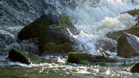 Waterfall with mossy rocks Stock Footage 338305292