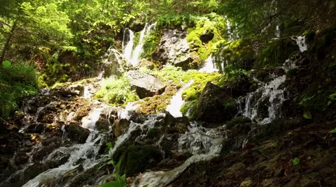 Waterfall with mossy stone in deep coniferous forest Stock Footage 68405927
