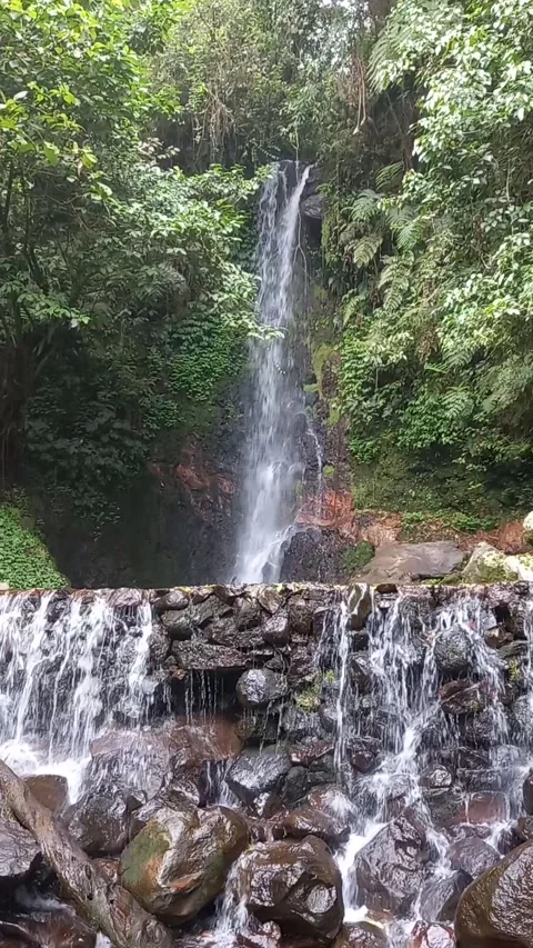 Waterfall on mount salak 스톡 동영상 207902272