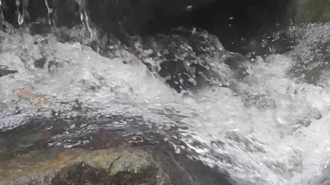 Waterfall at the mountain Stock Footage 205523977